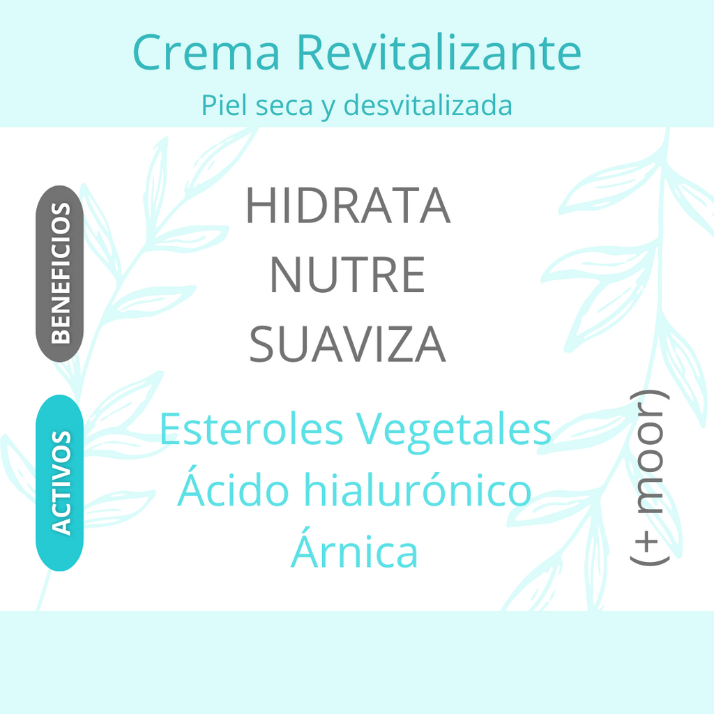 Replenishing Cream (Dry)