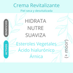 Replenishing Cream (Dry)